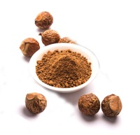 Vente en gros de poudre d'extrait de noix de savon soapberry en poudre naturelle pour la lessive prix d'exportation le moins cher