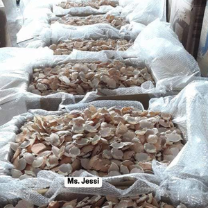 Concha de cangrejo seca de Vietnam/100% Natural, alto calcio, fertilizante orgánico y material de alimentación - Product Image 3