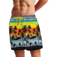Shorts de surf de plage personnalisés de haute qualité, impression par transfert thermique, séchage rapide, cordon de serrage à la taille, style streetwear, 100% polyester