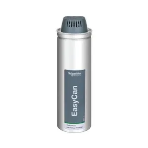 Condensatore di passaggio BLRCS250A300B52 per Schneider Electric - Product Image 1