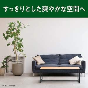 Japanese Product Sawaday Scented Stick Air <b>Freshener</b> <b>Room</b> Fragrance Clean Deep Forest Scent 70m Kobayashi Pharmaceutical - Product Image 4