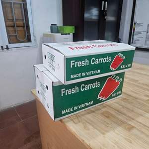 Carottes biologiques congelées de qualité à l'exportation avec un support OEM de style frais et un service après-vente depuis le Vietnam - Product Image 3