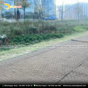 พรมเช็ดเท้ามะพร้าว100% จากธรรมชาติทำจาก dailocvina ใช้สำหรับทางเท้า - Product Image 3