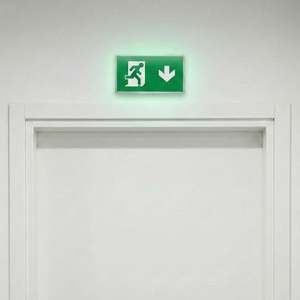 Single-Sided SL Series Exit Directional Luminaire 30 X 318 X 140 mm 220V Outdoor Emergency Sign <b>Light</b> with SMD IP65 - Product Image 5