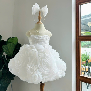 Vestido de Princesa de Tul con Cuentas y Pétalos de Rosa, Estilo Sirena, Largo hasta el Suelo, para Bebés, OEM ODM, Entrega Rápida, Vietnam - Product Image 2