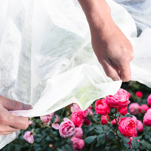 Tela de Cubierta No Tejida AGO2081 AGRO, 1.1x5m, Blanco Invernal, 30G, Resistente al Viento, Plástico PP - Product Image 5