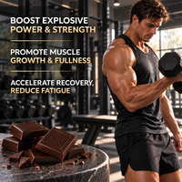Barre chocolatée fonctionnelle à la créatine avec créatine monohydrate micronisée pour la nutrition sportive, fabrication OEM, marque privée