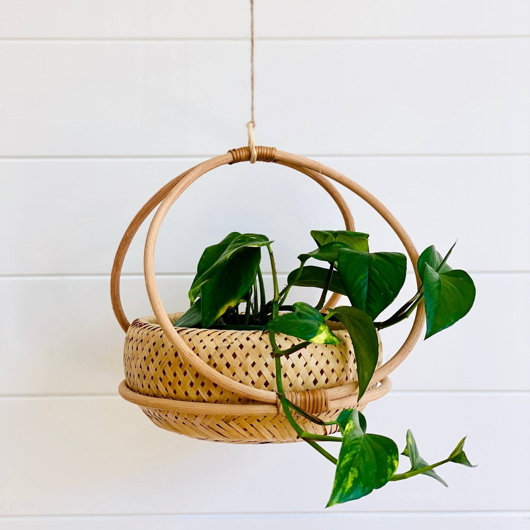 ธรรมชาติ