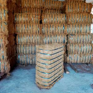 Fibre de coco, tourbe de coco du Vietnam - Product Image 4