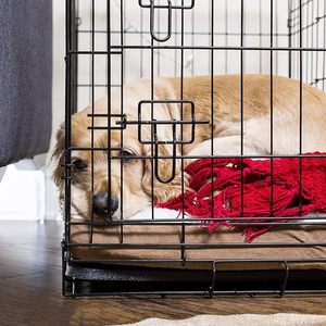 Fabbrica diretta grande gabbia per cani per interni all'aperto in legno e ferro canile piccola casa per gatti e animali domestici scatola imballata - Product Image 6