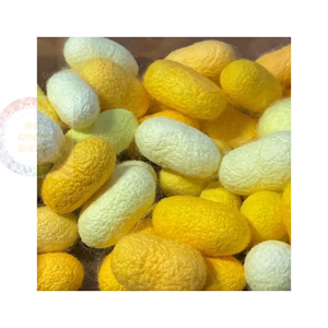 Discover the Versatility of Vietnamese <b>Silk</b> Cocoons: From <b>Silk</b> Threads to Fashionable Textiles and Home Decor - Product Image 5