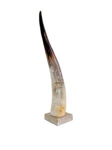 VIKING DRINKING HORN FOOD SAFE GENIUEN HORN Drinking Viking Horn Agate for Wedding Home Hotel From India for Christmas - Product Image 3