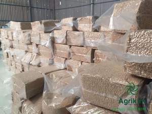 Noix de cajou entières séchées brutes de qualité supérieure certifiées HACCP 100% pureté emballées sous vide Grades W180/W320/W240 Vietnam KPRO - Product Image 3