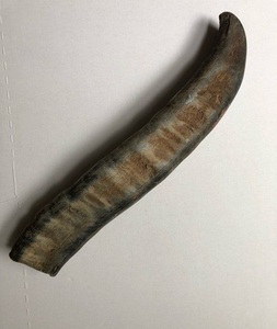 Cuerno de búfalo natural vikingo indio Puntas sólidas Técnica cruda Característica ecológica Disponible a granel en La India por f s i - Product Image 2