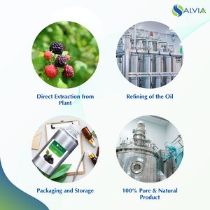 Vente en gros en vrac 100% huile essentielle de pépins de framboise noire pure et naturelle emballage personnalisé à bas prix - Product Image 4