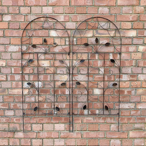 Soporte de jardín de 2 piezas para plantas trepadoras, enrejado y puertas de valla premium - Product Image 3