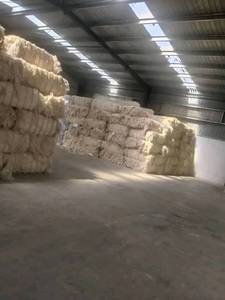 Fibra de sisal de Grado Superior/Fibra de sisal de alta calidad/Fibra de sisal de grado UG Material de fibra de sisal crudo de África oriental a la venta a EE. UU.