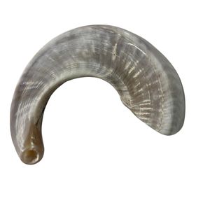 Fantaisie Fini Ram Shofar Corne Indien Naturel Moderne Animal Inde Juif Ram Corne Shofar au Design Unique - Product Image 3