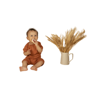 100% Organic Cotton Baby Ribbed Summer <b>Rompers</b> Solid Color Short Sleeve Bamboo Fabric Clothing - Product Image 6