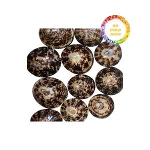 Vente en gros de coquilles de patelle pour la décoration d'aquarium Idées d'artisanat artistique avec une qualité supérieure et un approvisionnement à prix compétitif - Product Image 4