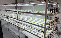 Système hydroponique NFT pour agriculture verticale, gouttière rectangulaire blanche à 5 niveaux en PVC, 2x0.8x1.5M, 108 trous pour légumes-feuilles et herbes