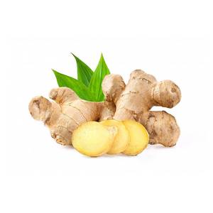 Acheter Huile de Gingembre Massage Huile essentielle de Gingembre 100% pur pour le massage SPA au prix de gros Huile parfumée au gingembre bio - Product Image 1