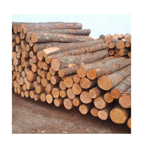 Troncos de nogal para producción de chapa con color consistente y ricos patrones de vetas marrón chocolate, material de calidad premium. - Product Image 2