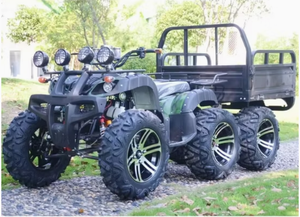 Quad à essence 250cc à courte portée, certifié CE, logo personnalisé - Product Image 2