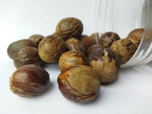 殻付きナツメグ インドネシア産 農産物 賞味期限<span class=keywords><strong>2</strong></span>年 箱入り - Product Image 2