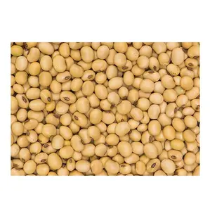 Venta al por mayor exportación americana precio barato sin OGM soja para la venta - Product Image 1