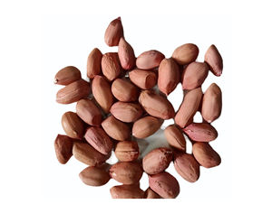 Cacahuetes Crudos de Alta Calidad Sin Cáscara, Granos de Cacahuete Blanqueados, Alimento Integral Orgánico - Product Image 1