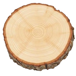 Meilleures ventes de produits en bois Vente en gros de tranches d'arbre rondes en bois naturel Dessous de verre en noyer gratuit pour mariage Dessous de verre en noyer - Product Image 1