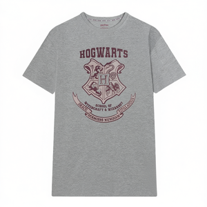 T-shirt a maniche corte con stemma dell'Accademia Fantasy, unisex per adulti, girocollo grigio, con grafica a tema scuola di magia - Product Image 1