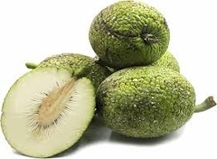 Goût frais Vietnam fruit à pain congelé La technologie IQF préserve la saveur et la texture pour l'industrie alimentaire - Product Image 6