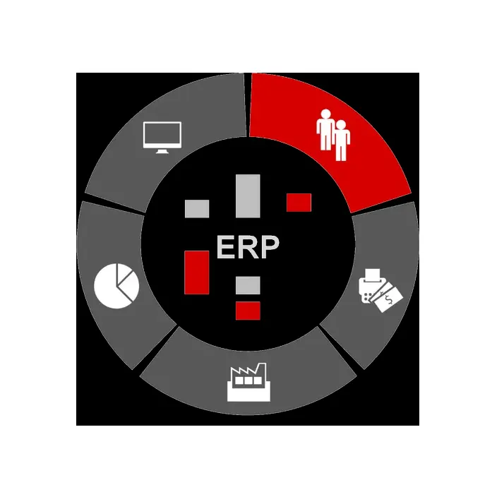 Công nghệ mới được thực hiện giải pháp ERP với chức năng tùy chỉnh và phần mềm ERP được thiết kế có sẵn với giá thấp