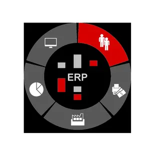 Soluzione ERP di nuova tecnologia realizzata con funzione personalizzata e Software ERP disponibile progettato a prezzi bassi