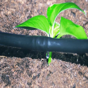Ruban goutte-à-goutte de haute qualité, tuyaux ronds en PE et raccords d'irrigation agricole (16 mm, 20 mm, 22 mm, 25 mm) - Product Image 1