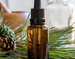 Aceite de turpentina de goma, 2022, gran oferta, para vacaciones, 2022 en Vietnam - Product Image 4