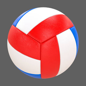Lightweight PVC 8-Panel Eco-Friendly Durable Training Volleyball Ball for Gym Use School Practice <b>Physical</b> Education Clubs - Product Image 1