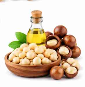High Quality <b>Macadamia</b> <b>Nuts</b> In <b>Shell</b> Kernel <b>Bulk</b> Supply Fresh <b>Macadamia</b> Supplier - Product Image 4