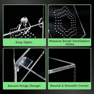 Terrarium fermé classique en acrylique respirant pour l'élevage de reptiles, araignées et insectes sauteurs, étanche, vente en gros ODM&OEM - Product Image 2