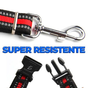 Pettorina Regolabile Doppia in Nylon per Cani, Lussuosa con Motivo a Righe e Tinta Unita, Semplice Pettorina in Neoprene per Cani di Piccola Taglia per Guinzaglio da Passeggio - Product Image 5