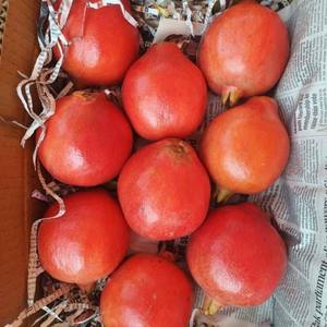 Trang trại thu hoạch tươi lựu xuất khẩu cung cấp số lượng lớn vị ngọt tự nhiên tươi lựu một cách cẩn thận đóng gói cho người mua toàn cầu - Product Image 5