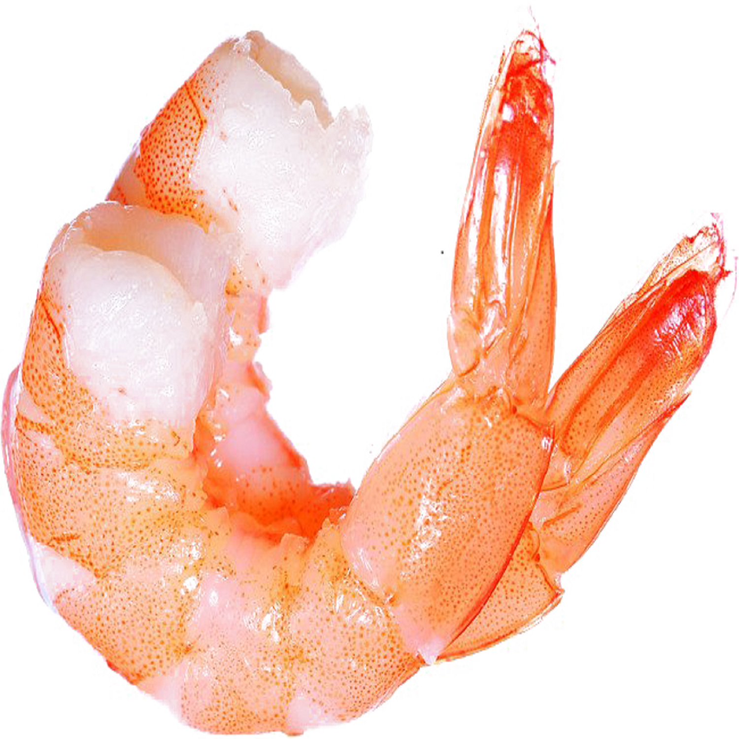 Frozen Vannamei Shrimp Price Wholesale Quality Seafood