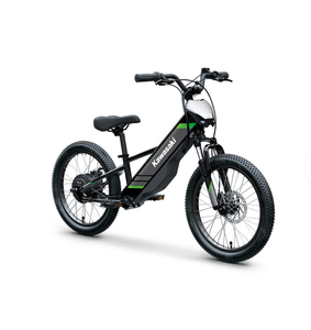 NUEVA BATERÍA AUTÉNTICA S ELEKTRODES 20 RIDE para Motocicleta Eléctrica, Batería de Litio para Cubo Trasero, 21 Velocidades, Cuadro de Aleación de Aluminio, >60 km - Product Image 1