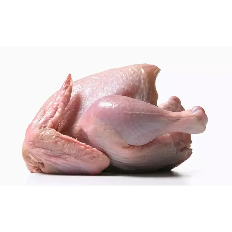 Chất lượng Halal toàn bộ đông lạnh gà đông lạnh toàn bộ Halal gà và phần gà