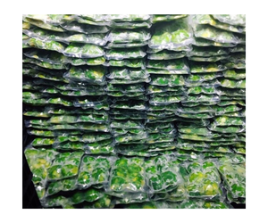 ราคาโรงงานเทคโนโลยีใหม่คุณภาพสูงความจุขนาดใหญ่ 3-5 ตันเครื่องแปรรูปอะโวคาโด IQF ขายร้อน - Product Image 1