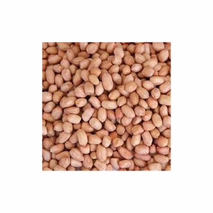 Best Selling Organic Blanched Fresh Peanuts TJ Peanuts Groundnut Dry Kernel Dry Peanut Ground <b>Nuts</b> Snack Farm Raw Wholesale - Product Image 4