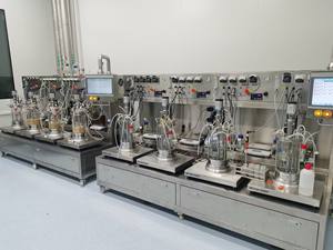 Bailun 10L bioréacteur fabrication de vaccination bioréacteur en verre à agitation mécanique utilisé BLBIO-GJ de culture - Product Image 2