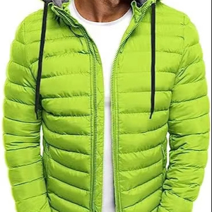 Vente en gros Manteau d'hiver isolé pour hommes High-Street Veste matelassée compressible résistante à l'eau avec capuche et toile rembourrée épaisse - Product Image 1